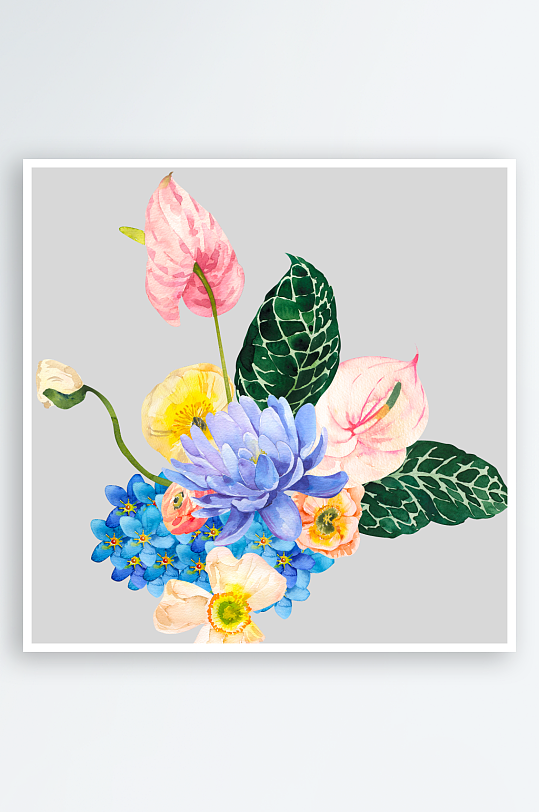 手绘植物花卉png素材-众图网