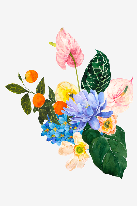 手绘植物花卉png图片-众图网