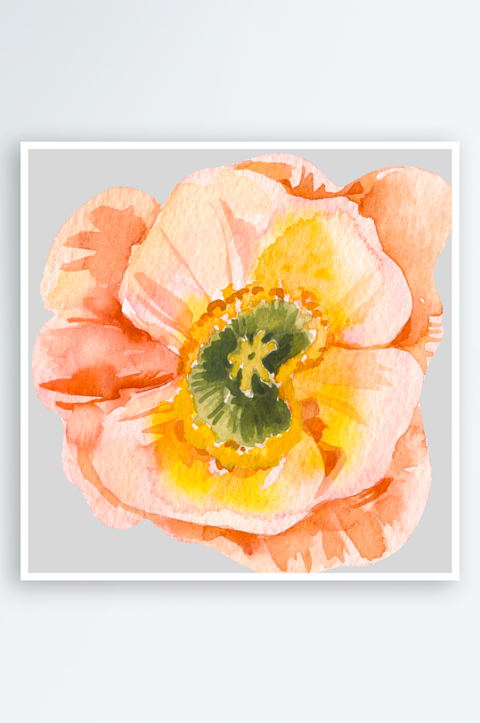 手绘植物花卉png图片-众图网