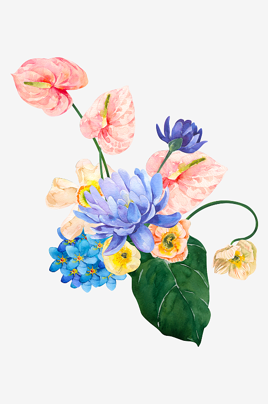 手绘植物花卉png图片-众图网