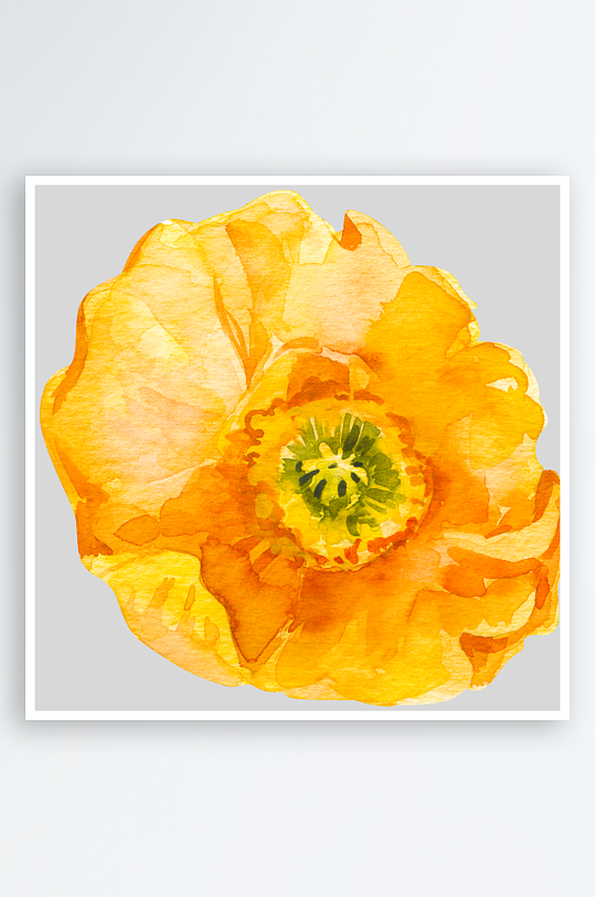 手绘植物花卉png图片-众图网