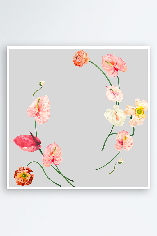 手绘植物花卉png图片-众图网