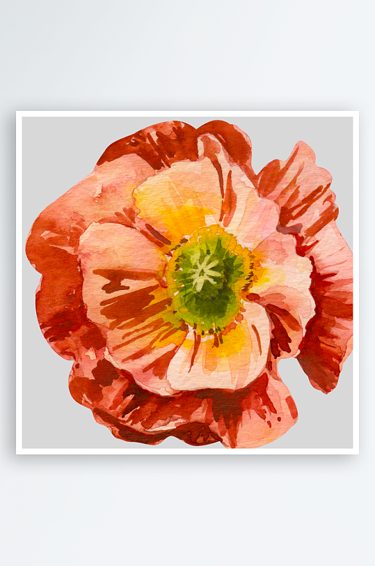 手绘植物花卉png图片-众图网