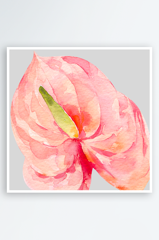 手绘植物花卉png图片素材-众图网