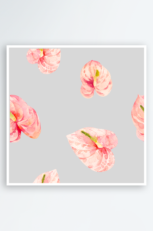 手绘植物花卉png图片素材-众图网