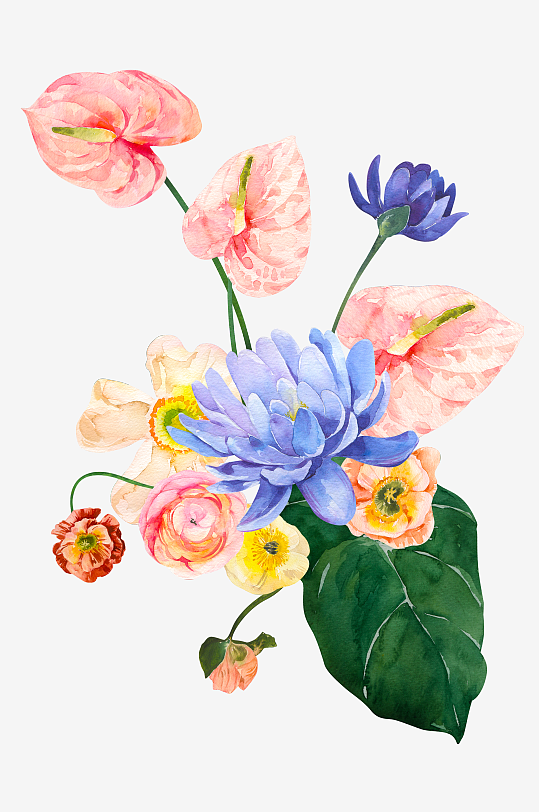 手绘植物花卉png图片素材-众图网