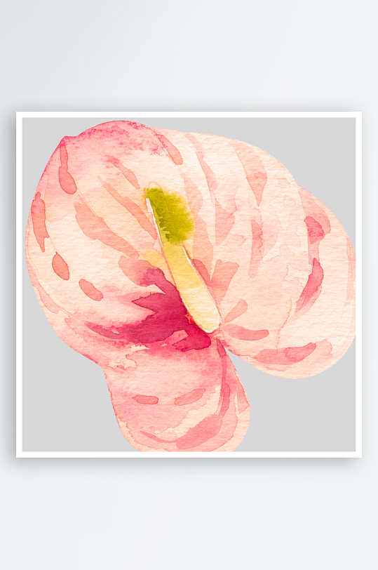 手绘植物花卉png图片素材-众图网