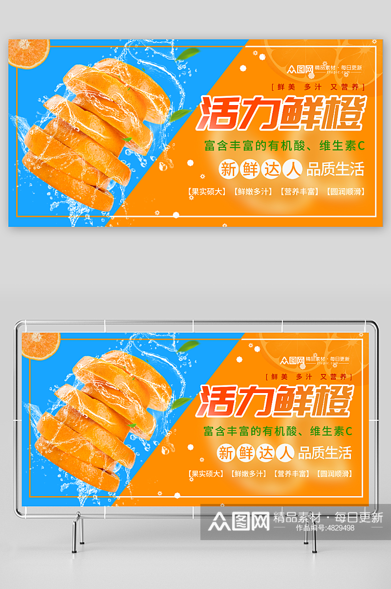 活力橙子摄影图宣传展板素材
