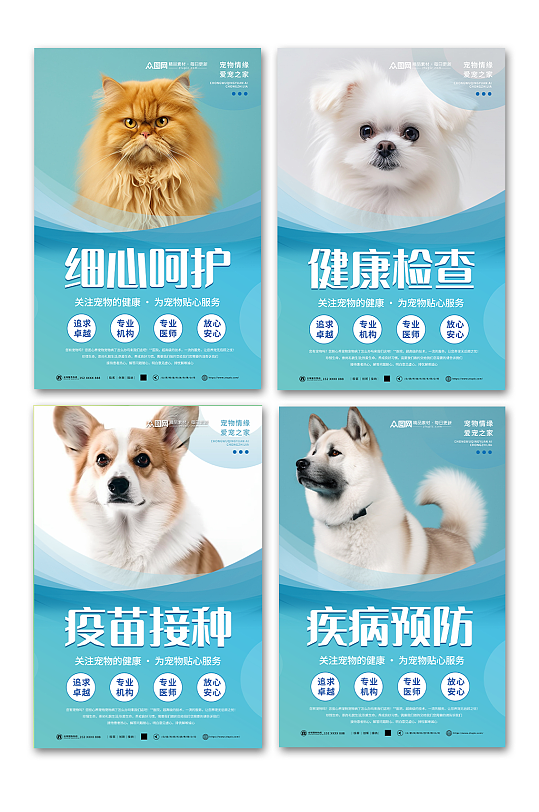 简约宠物店医院系列萌宠摄影图宣传海报