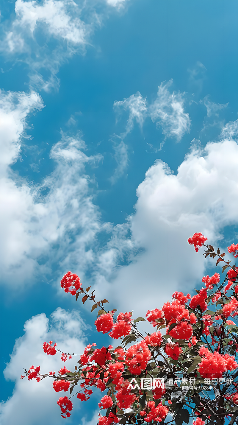 蓝天白云飘动一簇绽放的玫瑰红樱花壁纸背景素材
