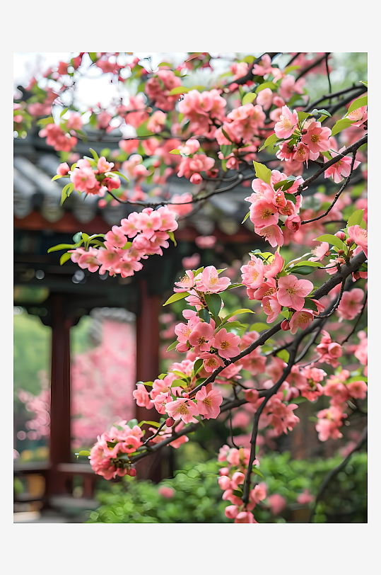 画面中是宋代宫殿花园中生长的一棵海棠树