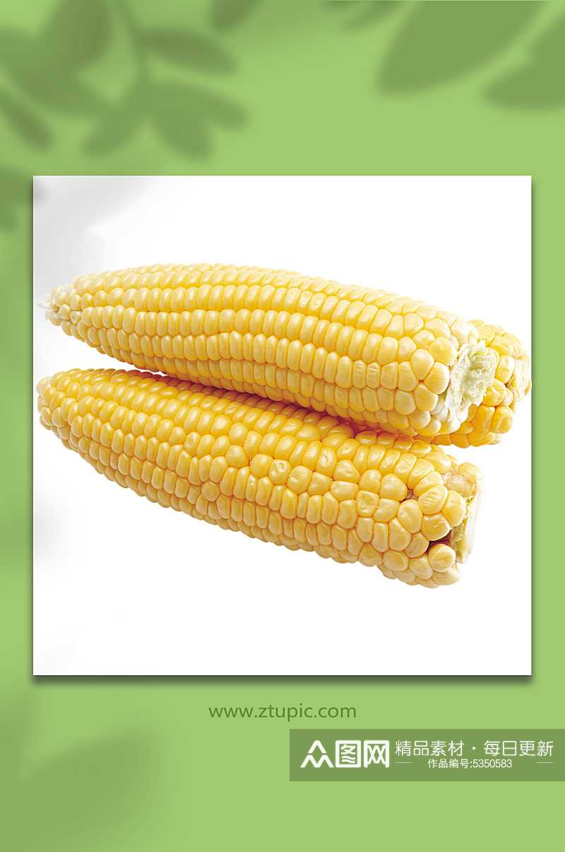 玉米蔬菜食材免抠元素素材