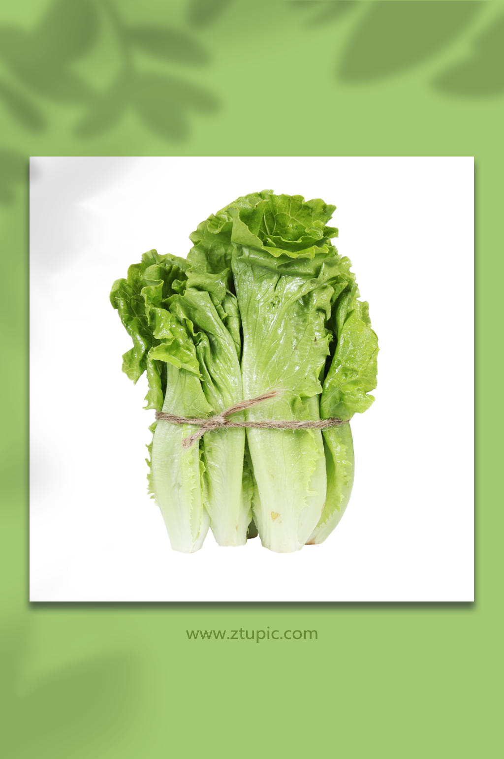 生菜蔬菜生鲜食材免抠元素素材