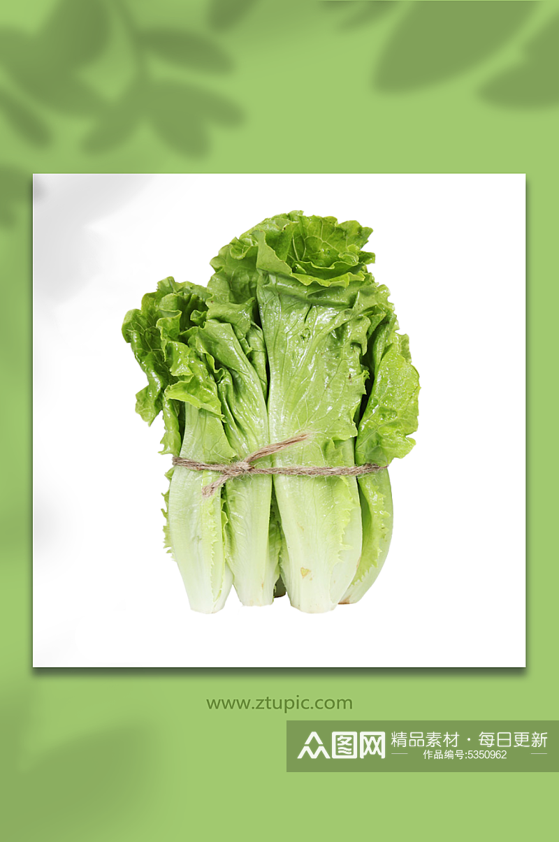 生菜蔬菜生鲜食材免抠元素素材