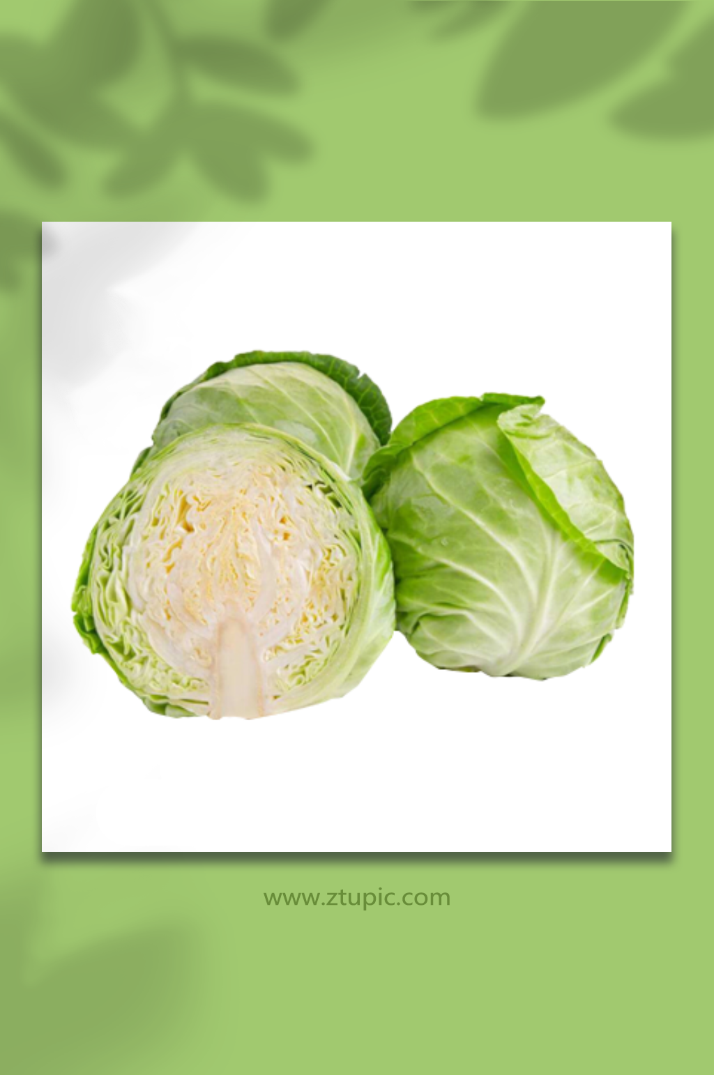 包菜蔬菜生鲜食材免抠元素素材