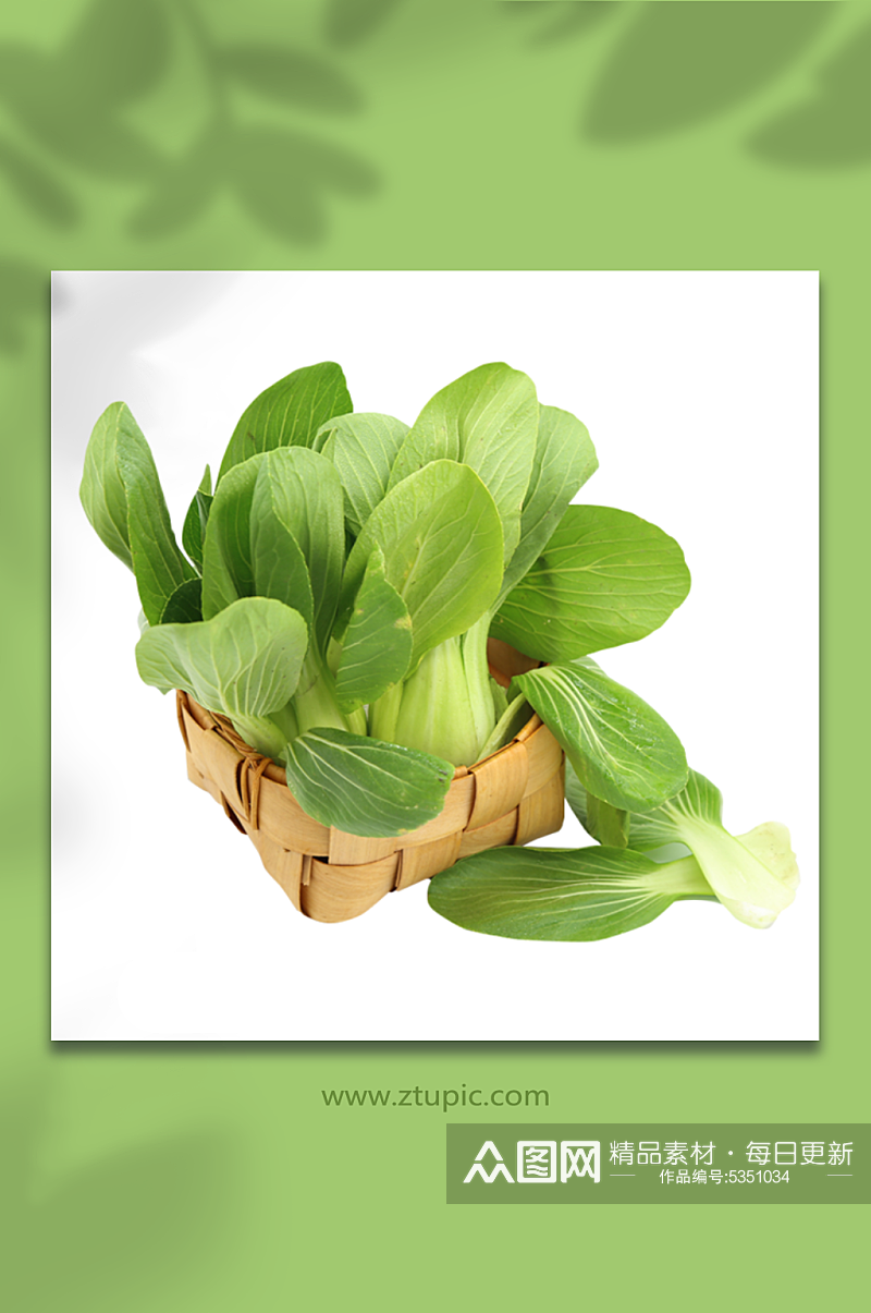 青菜蔬菜生鲜食材免抠元素素材