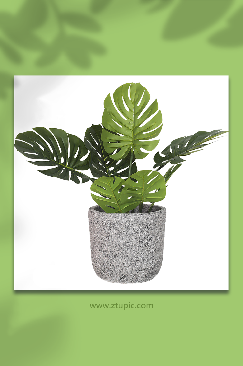 植物绿植花卉免抠元素素材