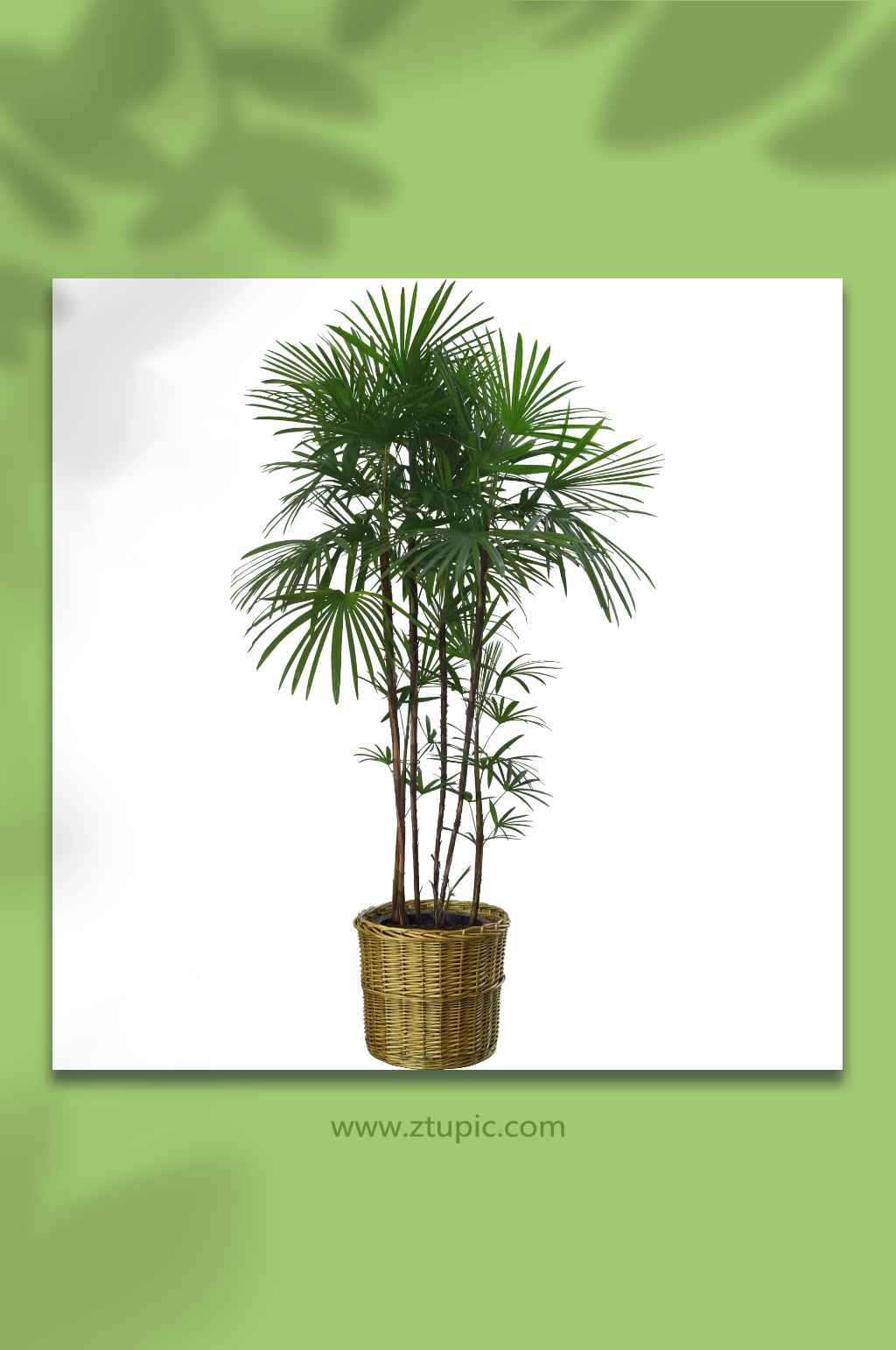 免抠盆栽绿植花盆PNG元素素材
