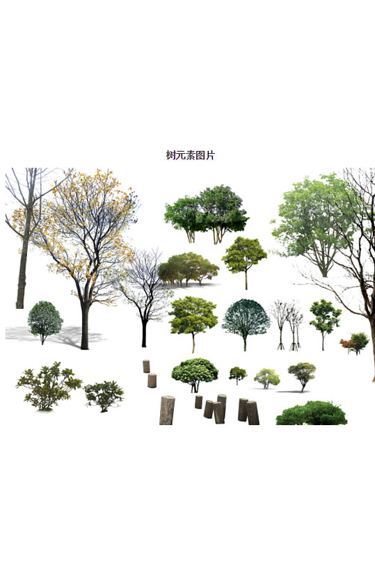 树木元素图片设计