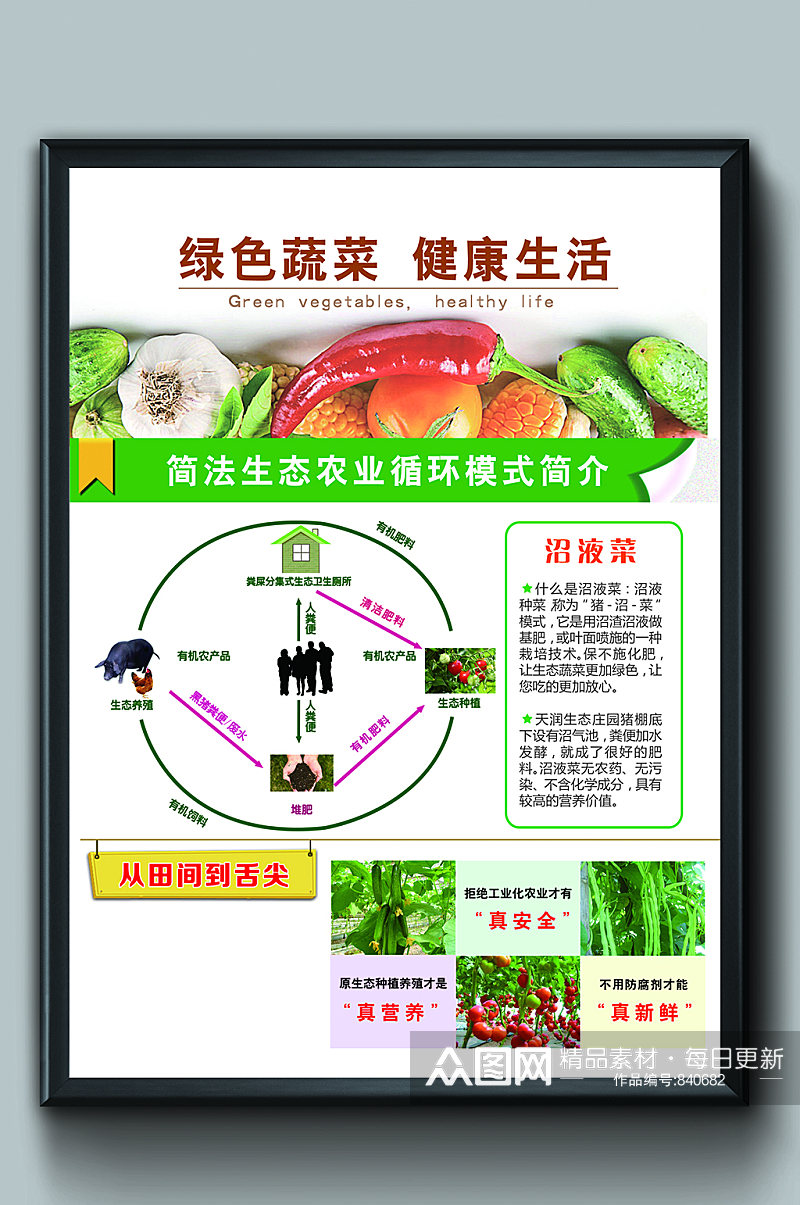 绿色蔬菜健康生活海报素材