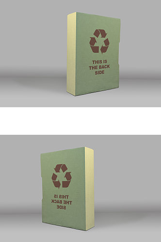 环保纸盒食品包装效果图样机