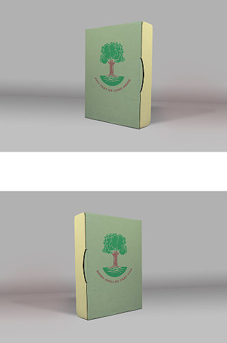环保纸盒食品包装效果图样机