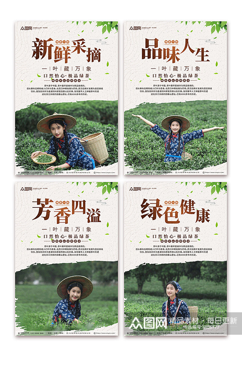 绿色健康茶叶茶文化摄影图系列海报素材