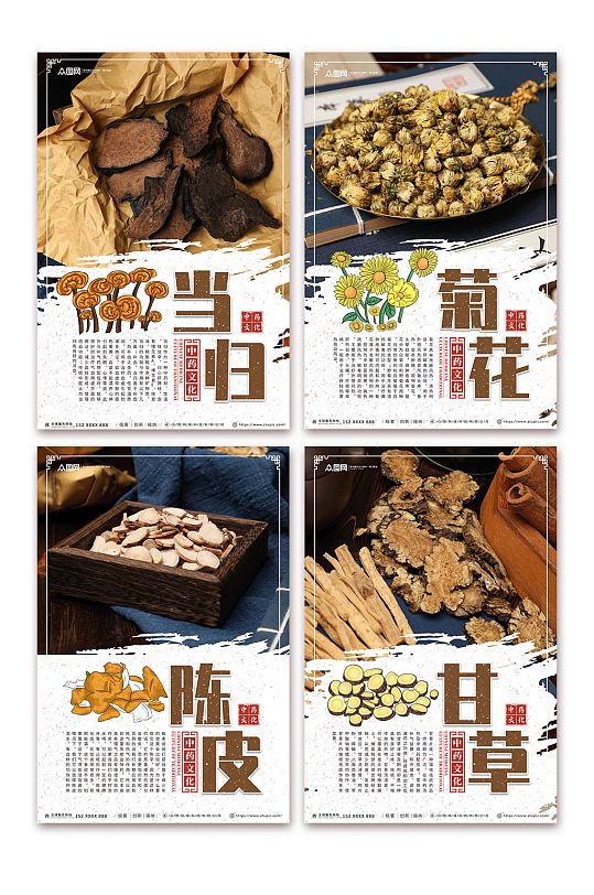 陈皮中医中药药材宣传系列海报