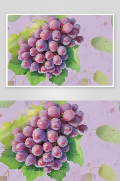 葡萄蔓延葡萄插画的生机之美