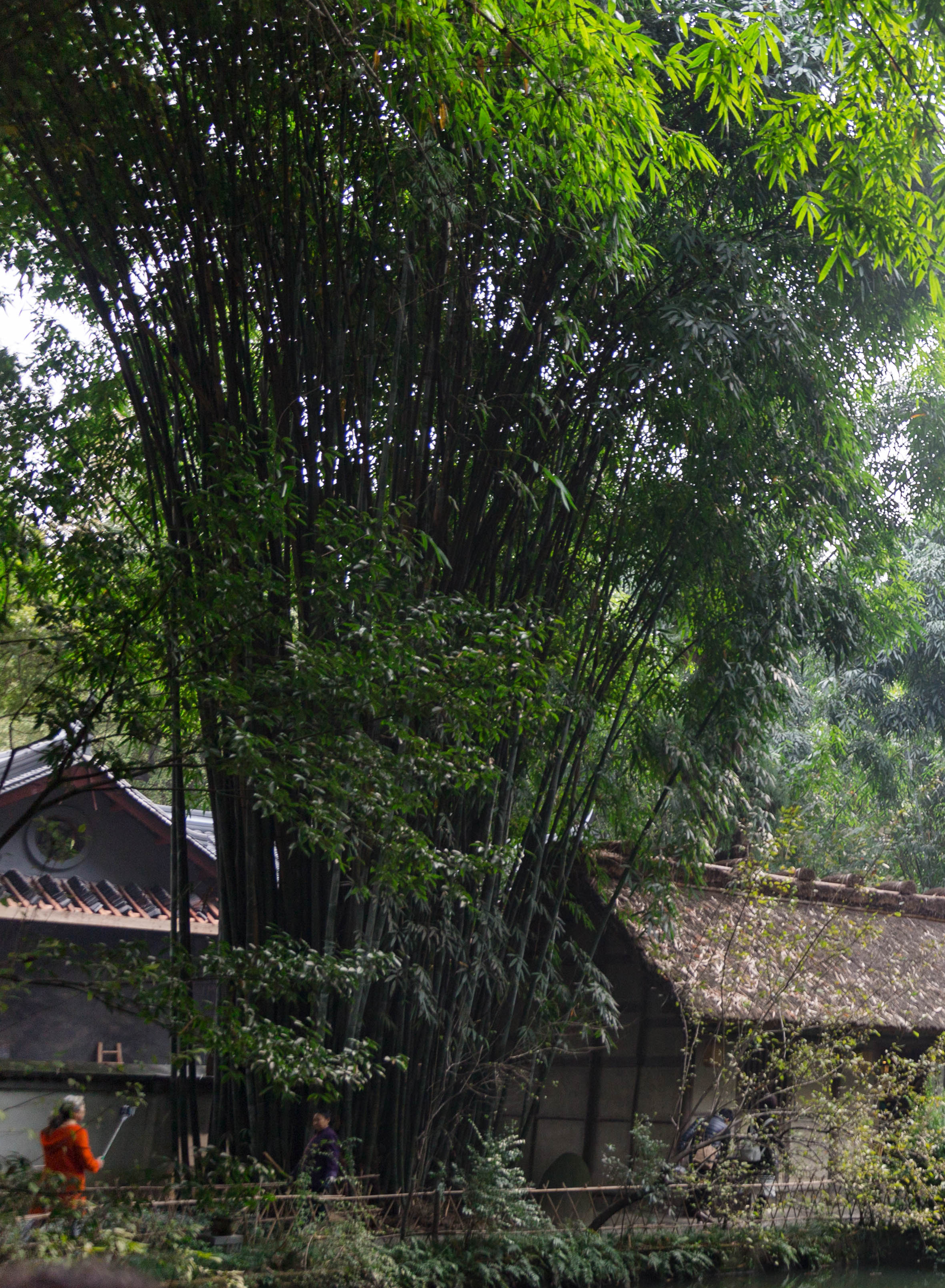 中国风园林小景拍摄素材