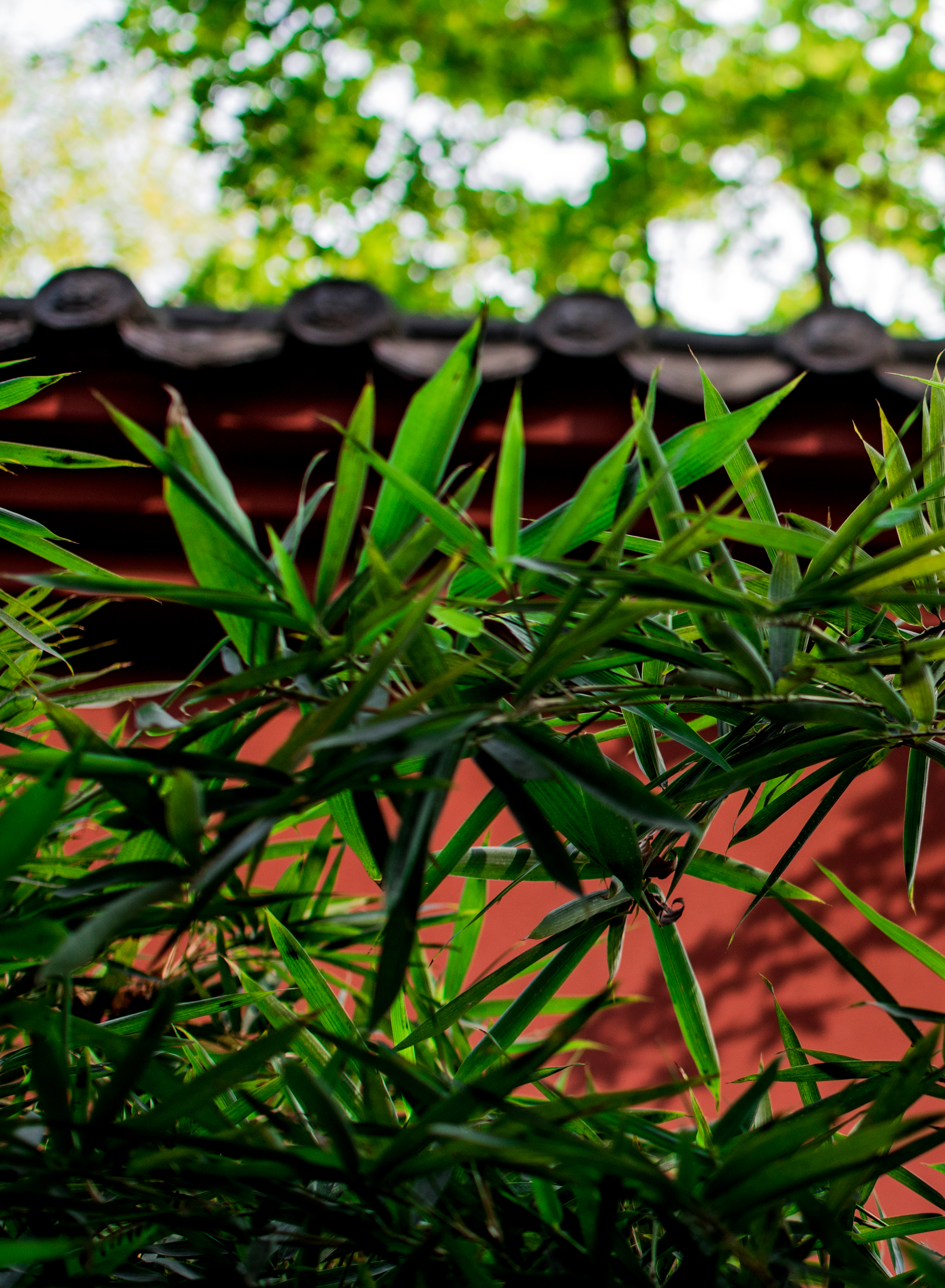 成都古城红墙中国风素材