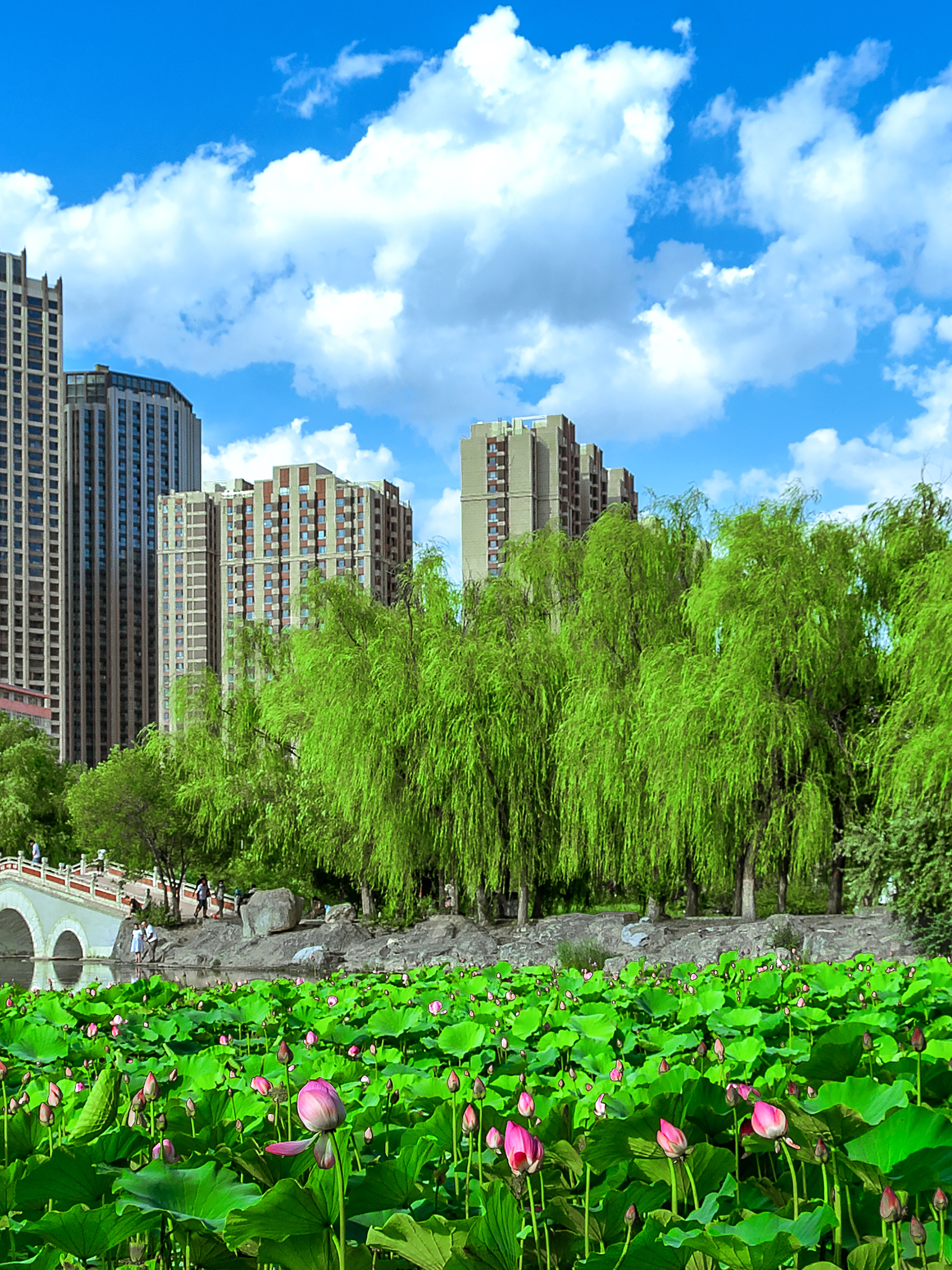 内蒙古呼和浩特城市绿色楼房景观素材