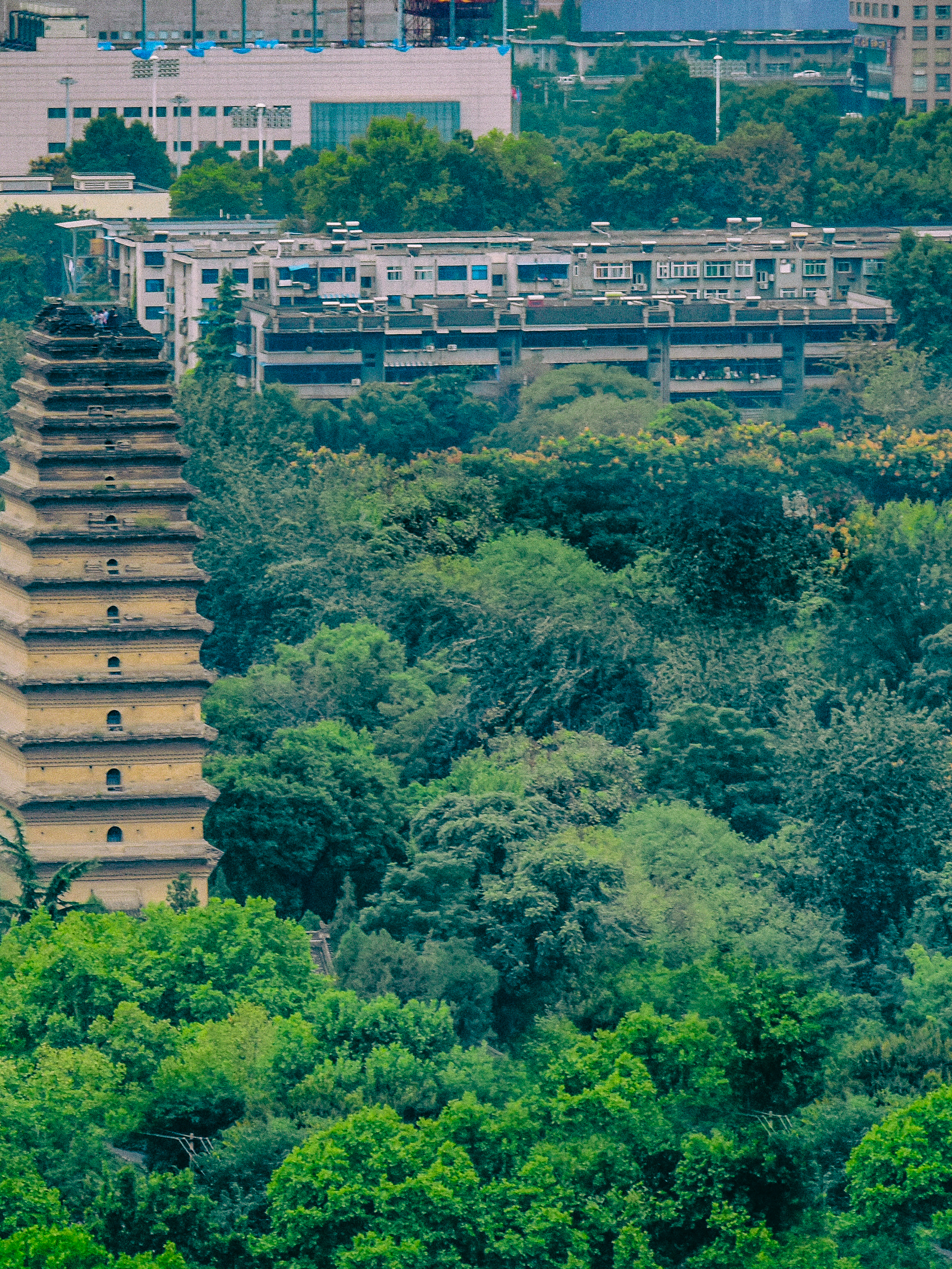 盛夏里的西安小雁塔远眺素材
