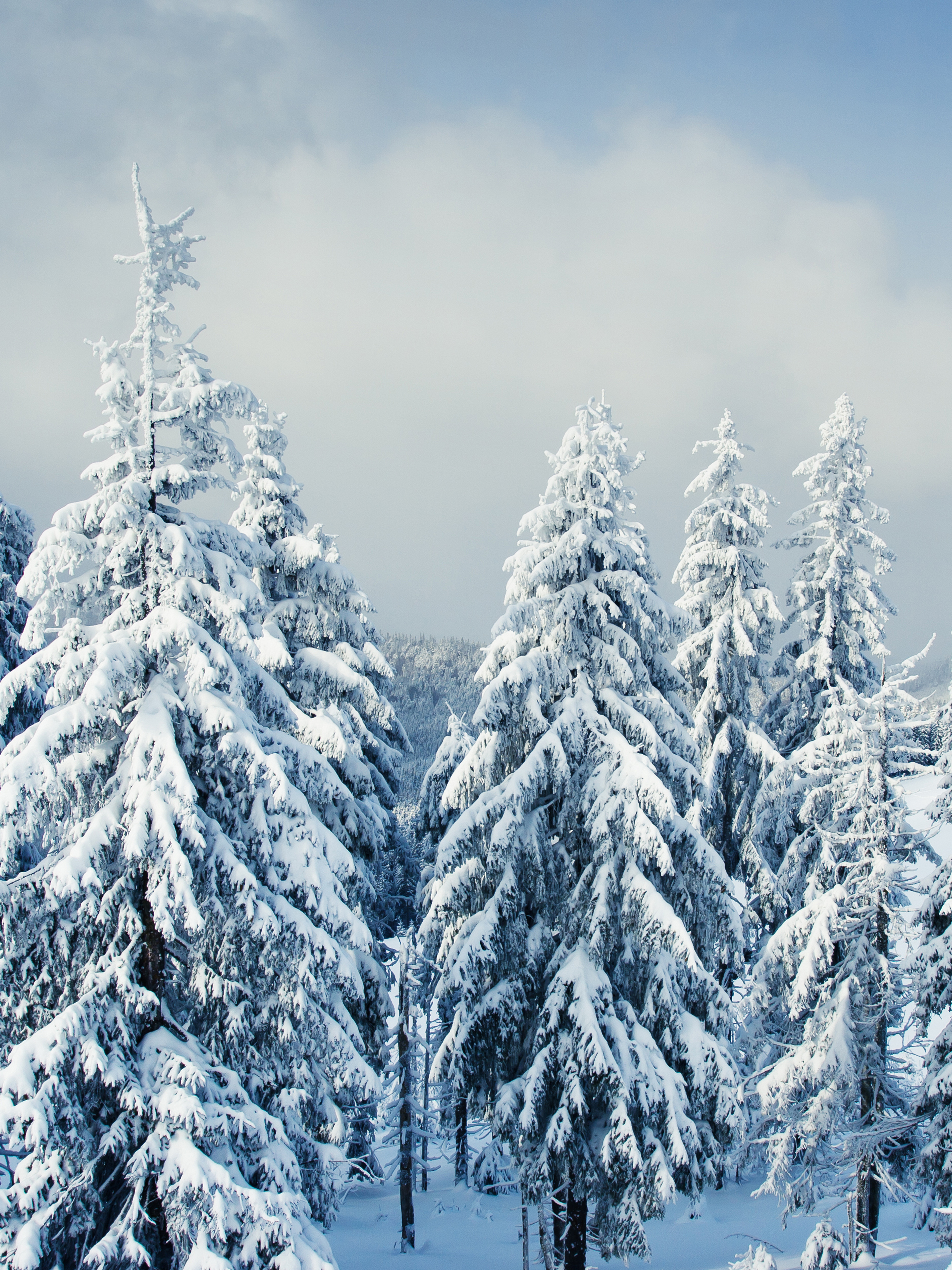 冬天雪景高清图片素材素材