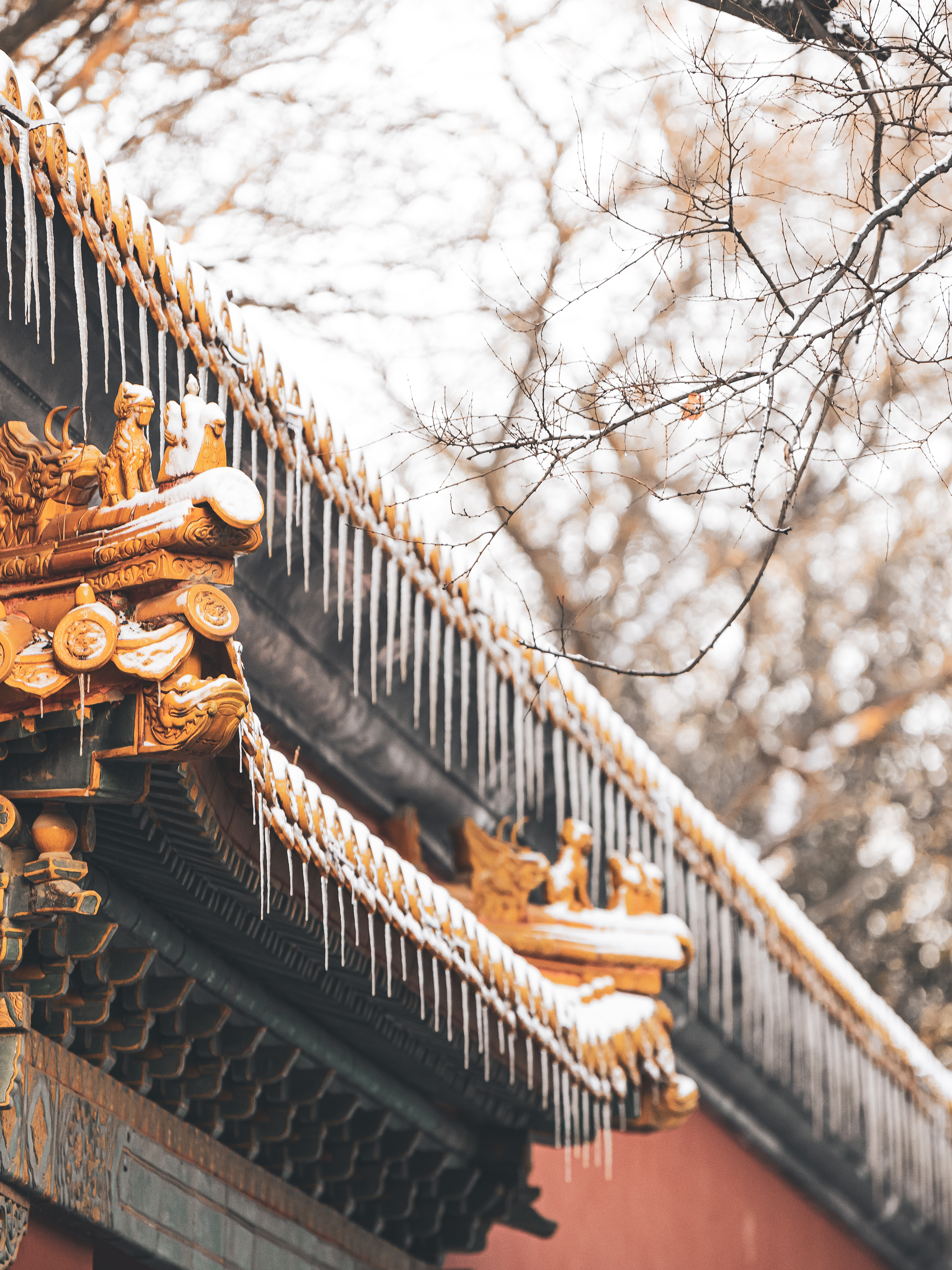 南京明孝陵文武方门红墙上冬天的雪素材