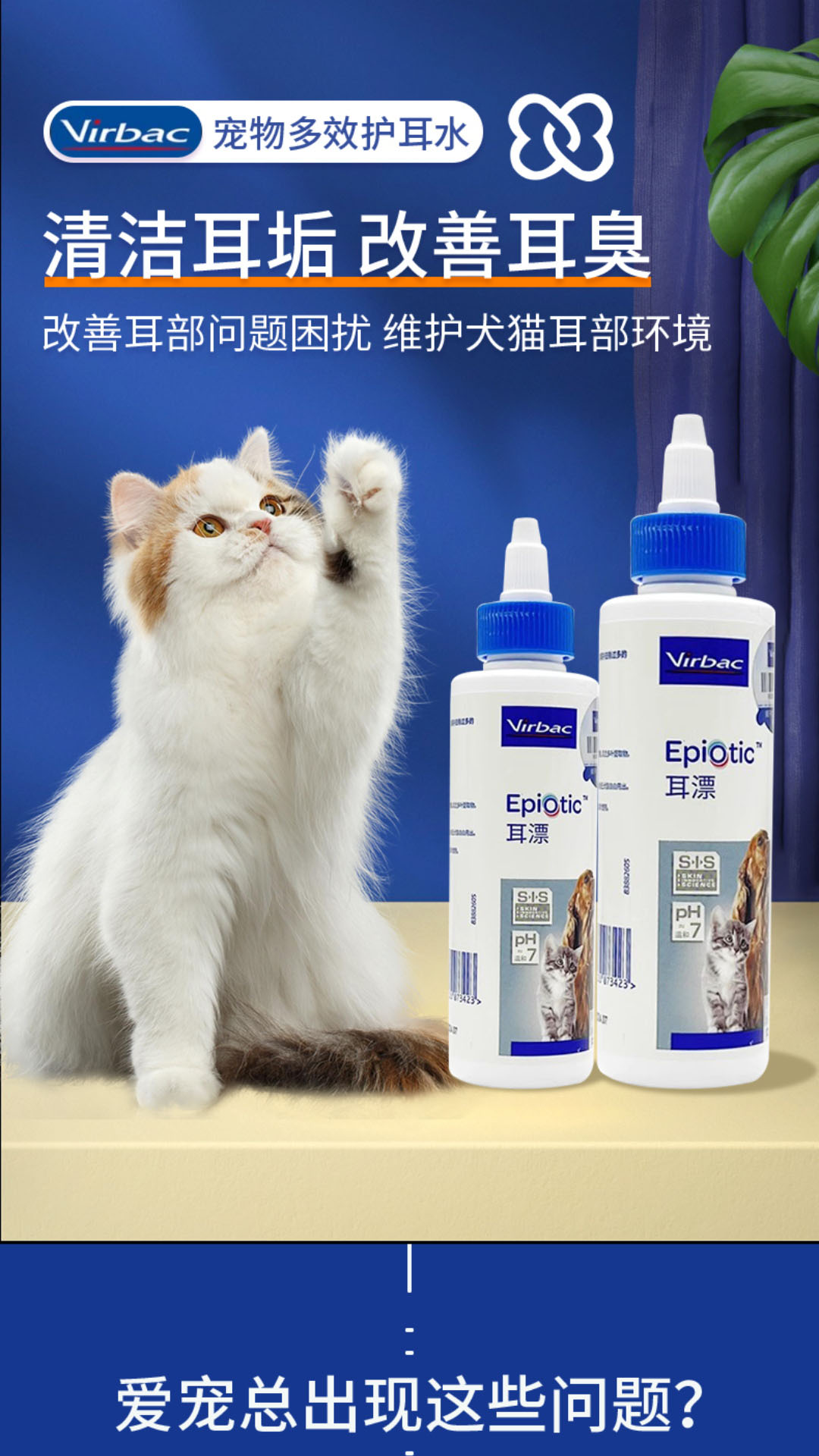 宠物用品详情页模板素材