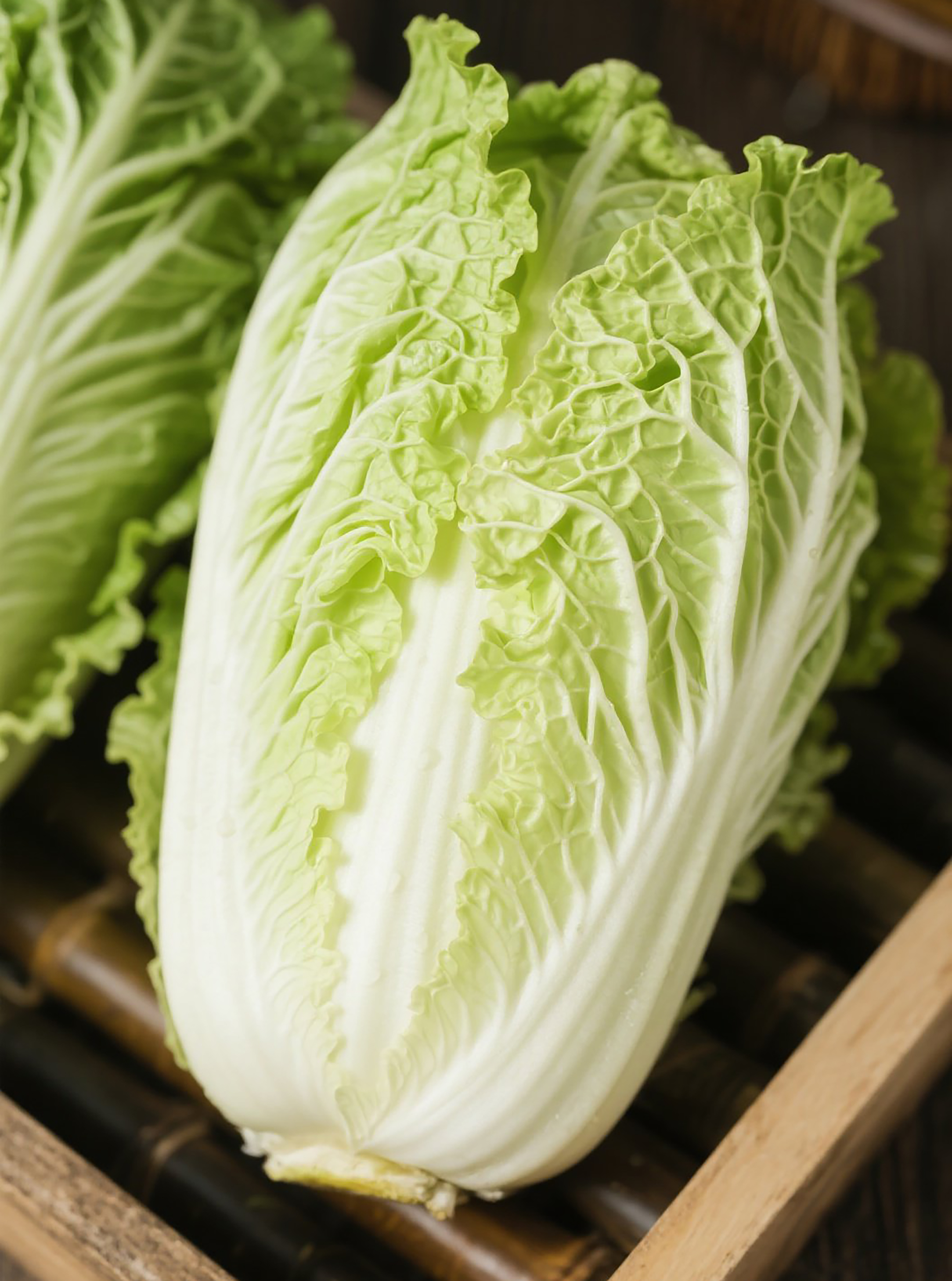 高清大白菜蔬菜图片素材素材