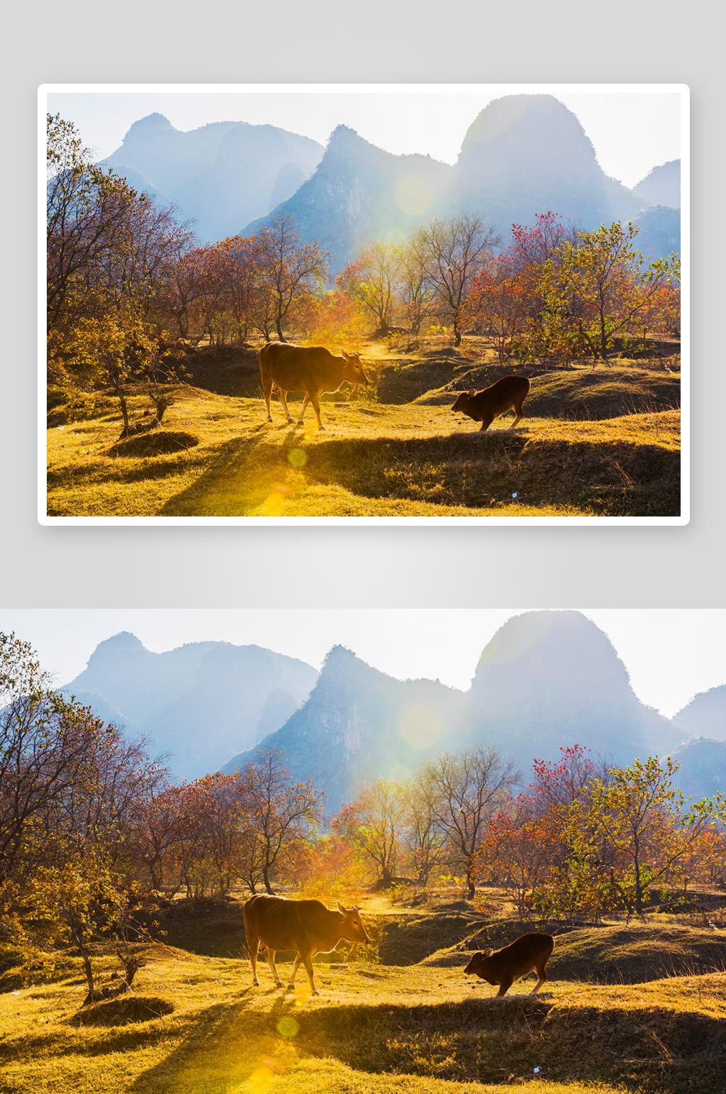 桂林山水风景画图片素材