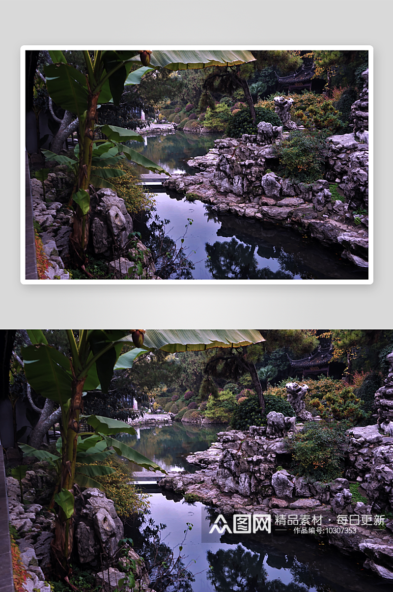 苏州园林植物自然假山摄影素材
