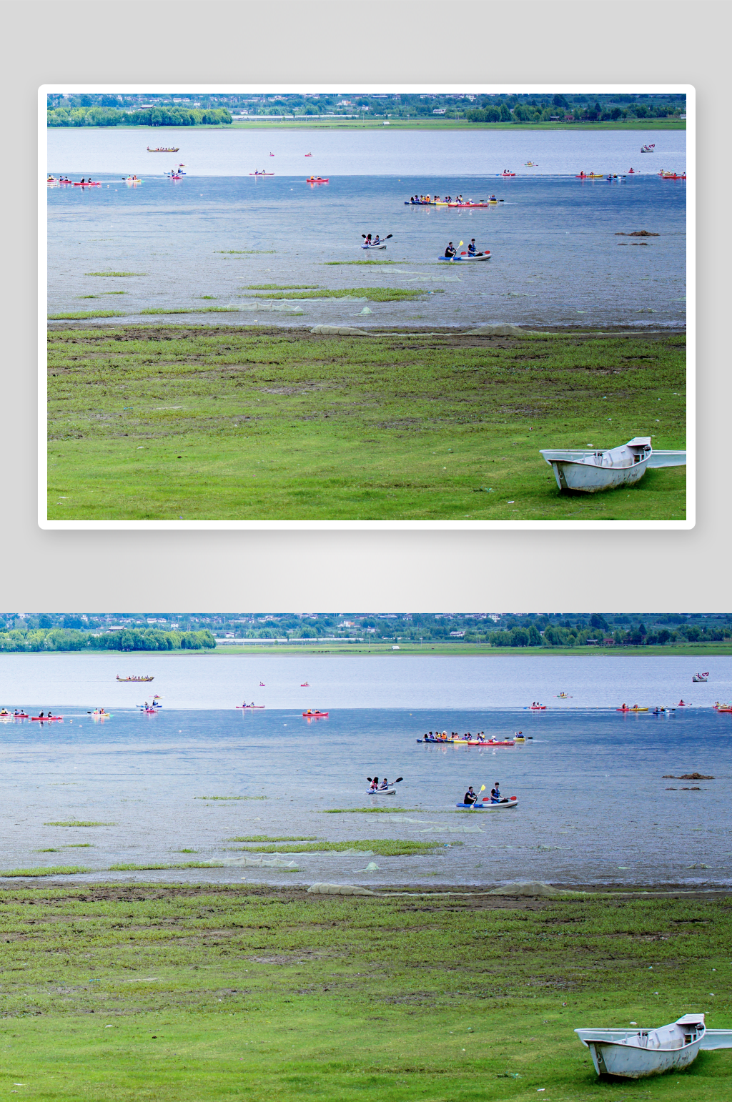 丽江拉市海春天的草海景色素材