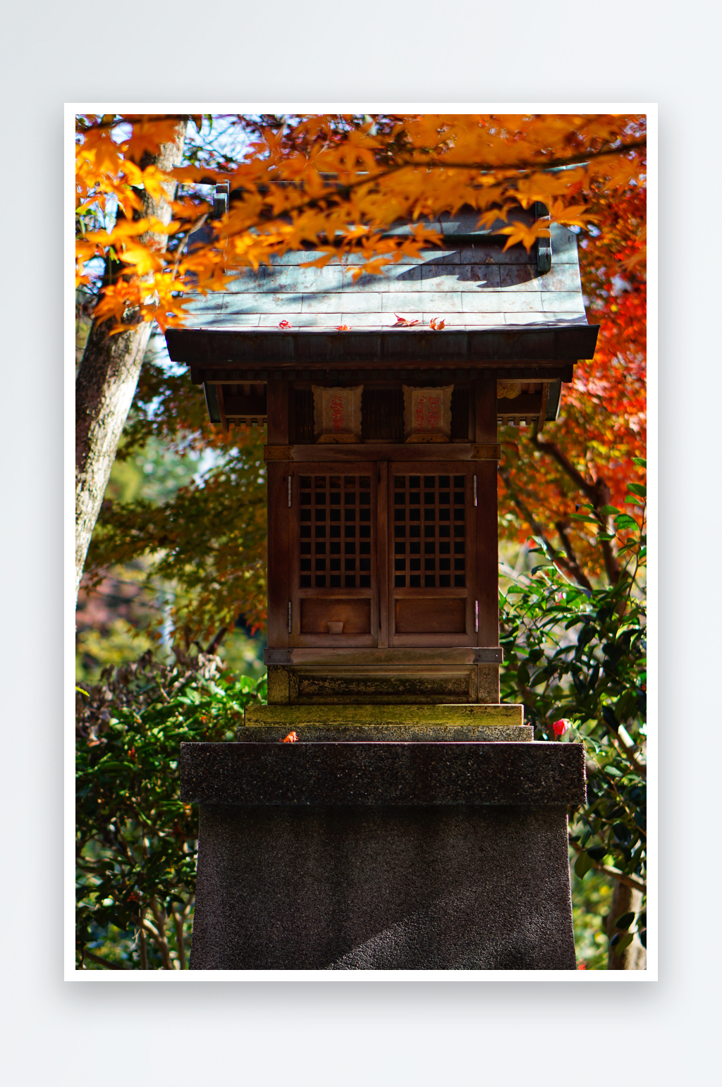 日本神社风景画图片素材