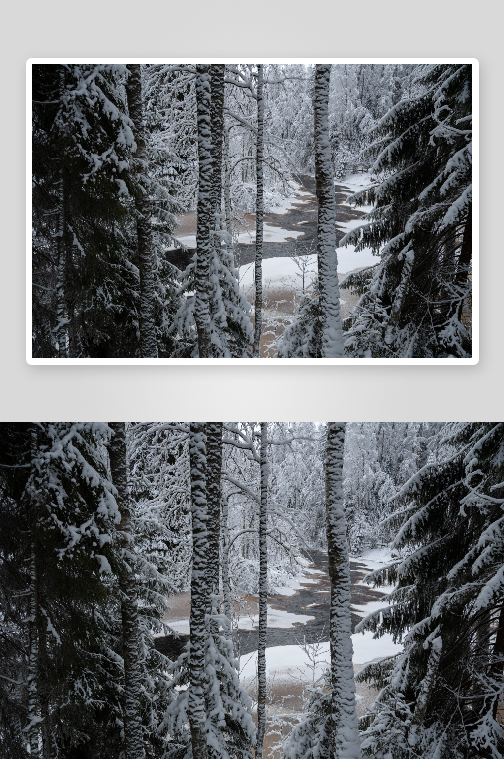 冬季雪景风景画摄影图片素材