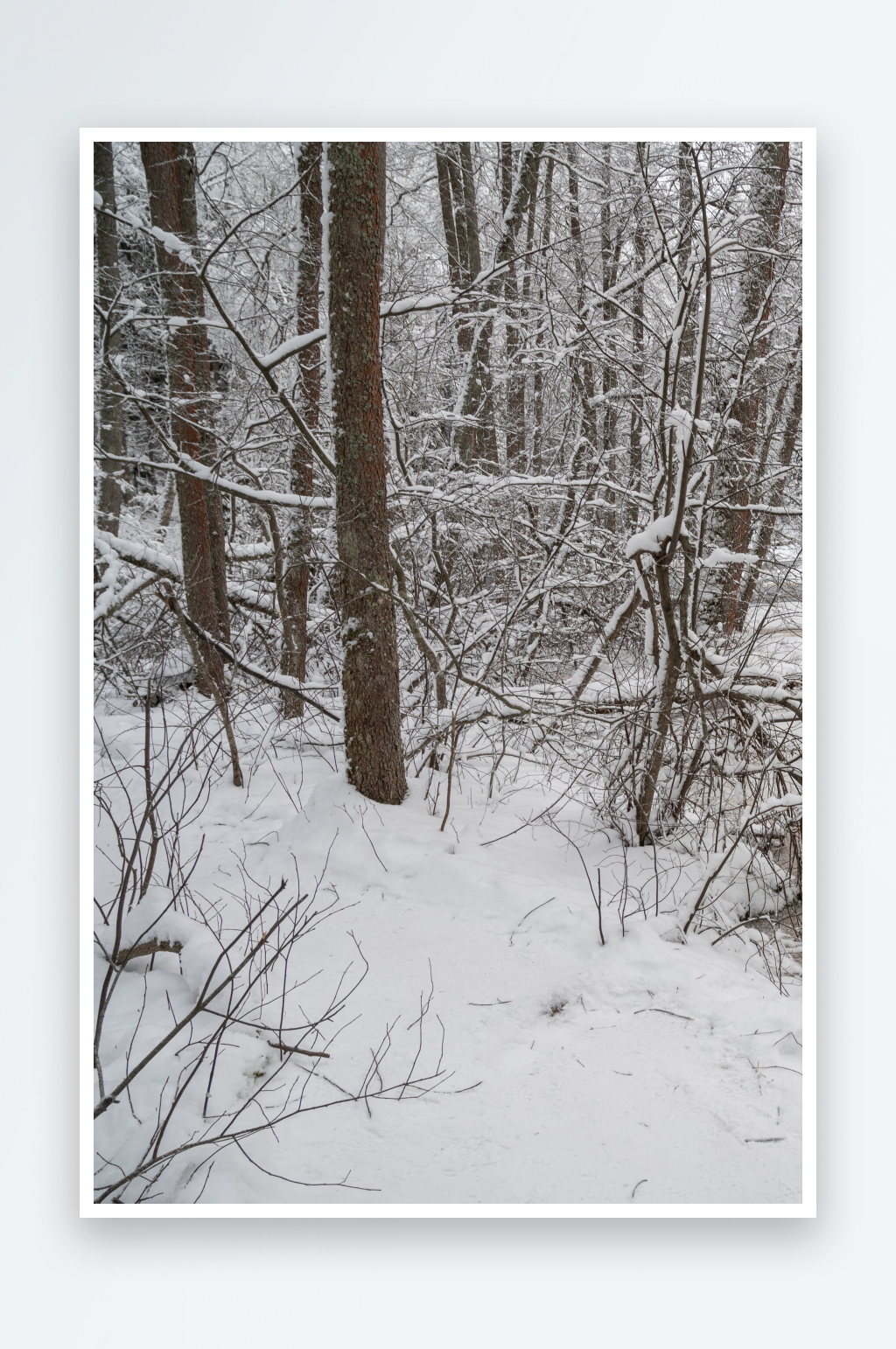 唯美冬季雪景风景画图片素材素材