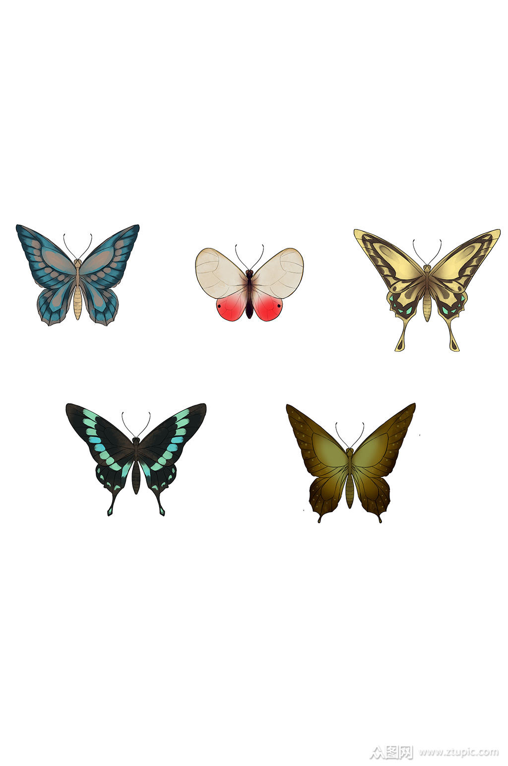 手绘蝴蝶免抠素材