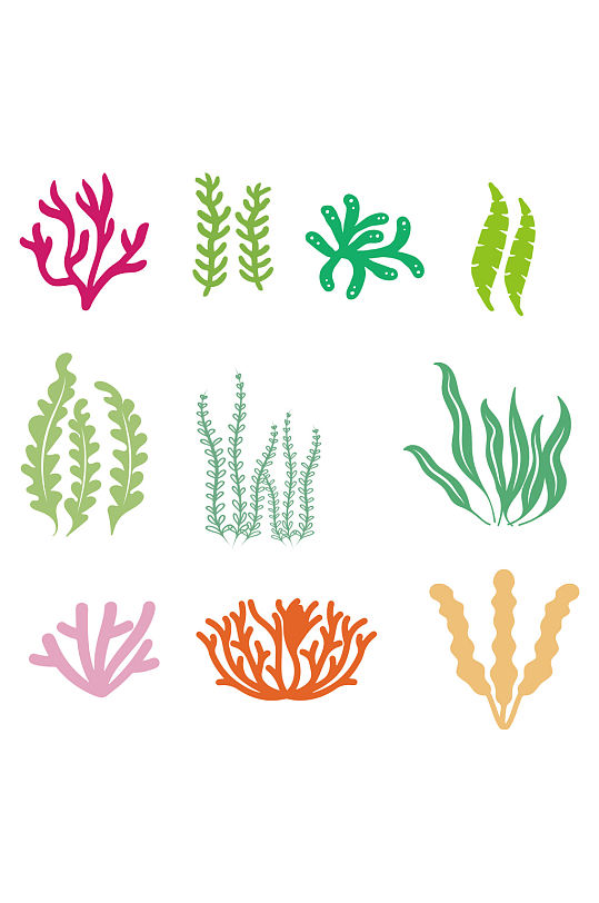 海洋生物珊瑚海藻