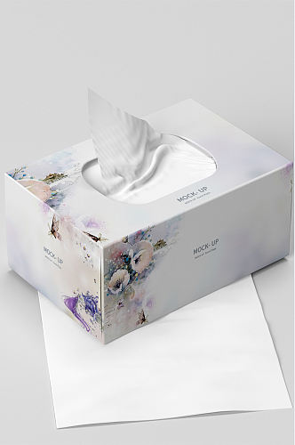 原创3D纸巾盒样机