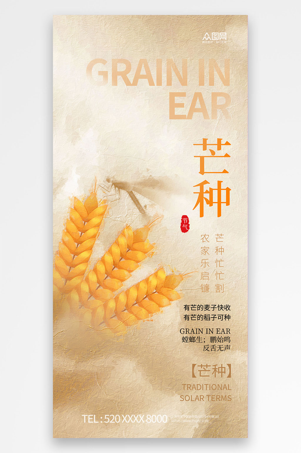 质感简约二十四节气芒种海报素材