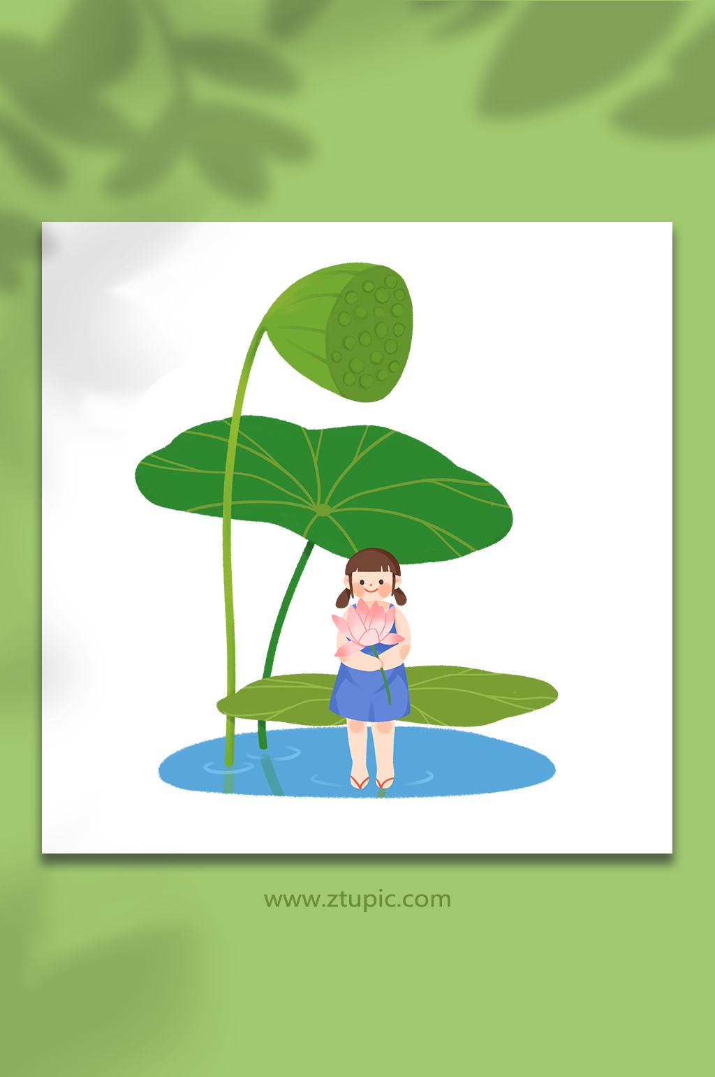 文艺清新荷叶夏日大暑节气夏季元素插画元素素材