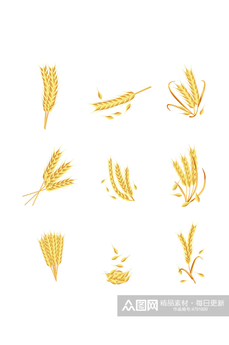 金黄矢量农作物稻谷小麦元素插画素材