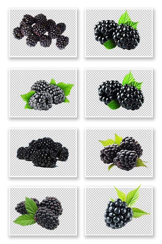 桑葚树莓免扣素材新鲜水果